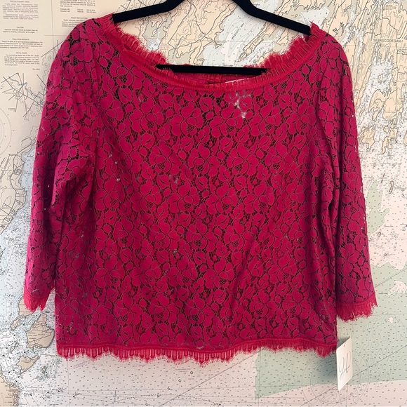 Weston Wear Tops - NWT! Anthropologie Weston Wear Pink Sheer Lace 3/4 Sleeve Blouse Size M